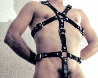 Body-Harness 3 cm with buckles